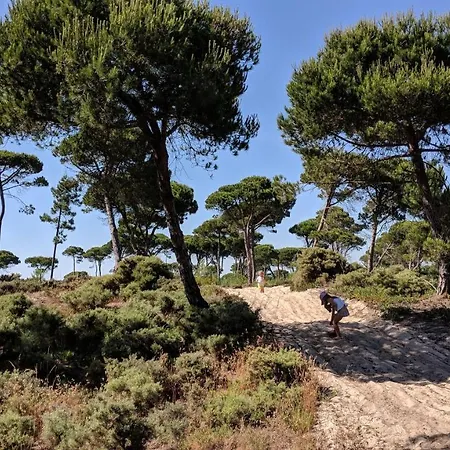 Meco Beach House فيلة سيسيمبرا